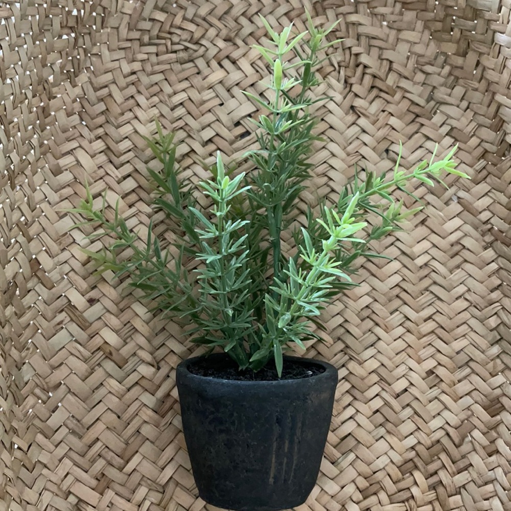 Hearth & Hand Faux Mini Rosemary Plant ~